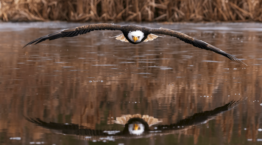 A fly-through of my new book about beating severe depression and&nbsp;anxiety